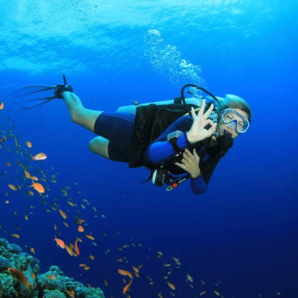 تور غواصی دبی – Dubai Diving Tour