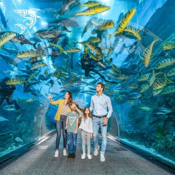 آکواریوم دبی مال – Dubai Mall Aquarium