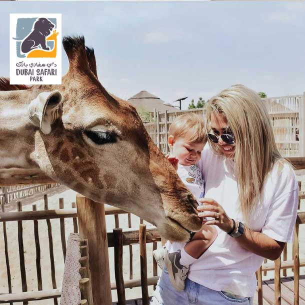 باغ وحش سافاری دبی – Dubai Safari Zoo