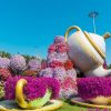 تور باغ گلها و دهکده جهانی – Miracle Garden And Global Village